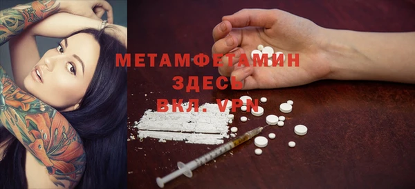 прущие грибы Орск
