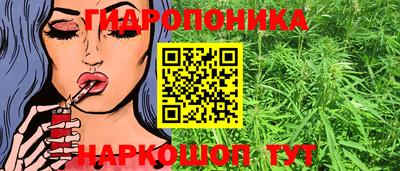 спайс Жуковский