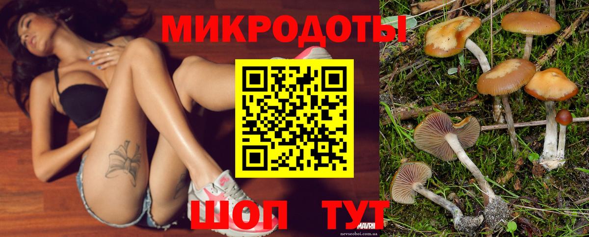 Псилоцибиновые грибы мухоморы Люберцы