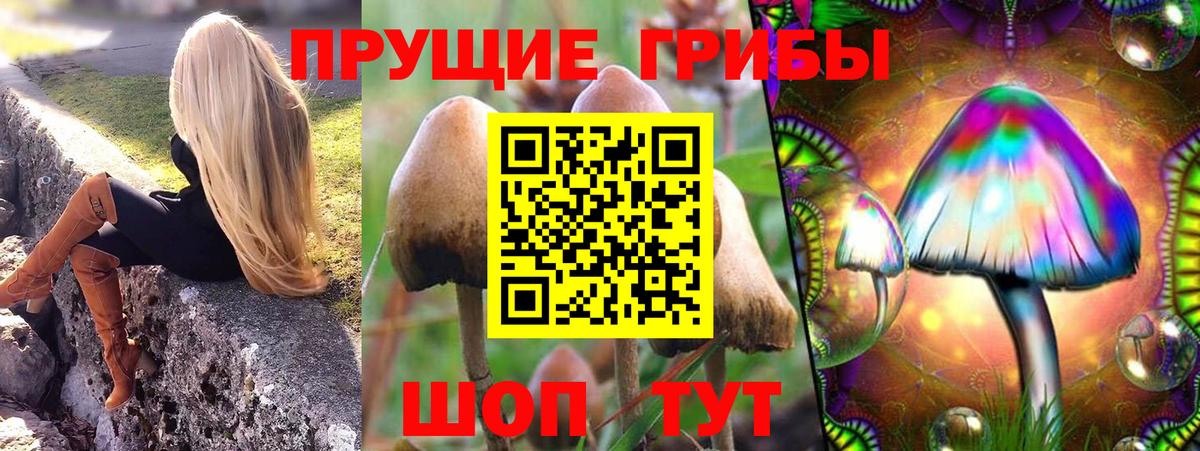 закладки  Люберцы  Псилоцибиновые грибы Psilocybe  Псилоцибиновые грибы MAGIC MUSHROOMS 