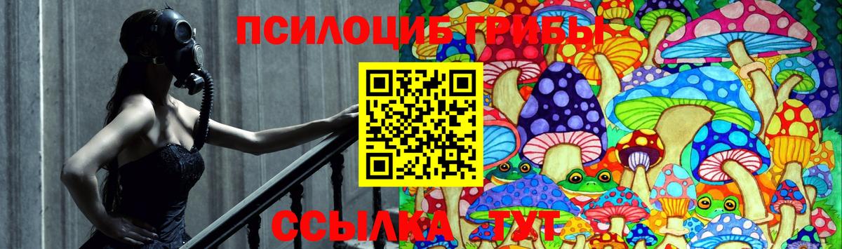 Галлюциногенные грибы Cubensis Люберцы